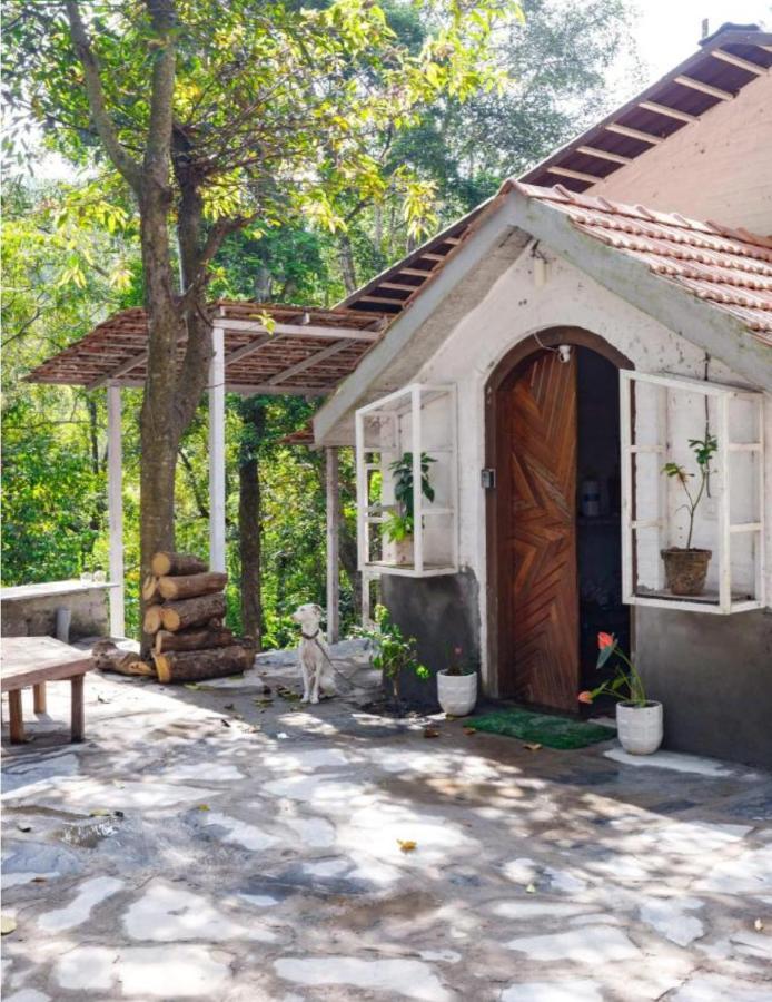 Jungle By Bilwa Estate *