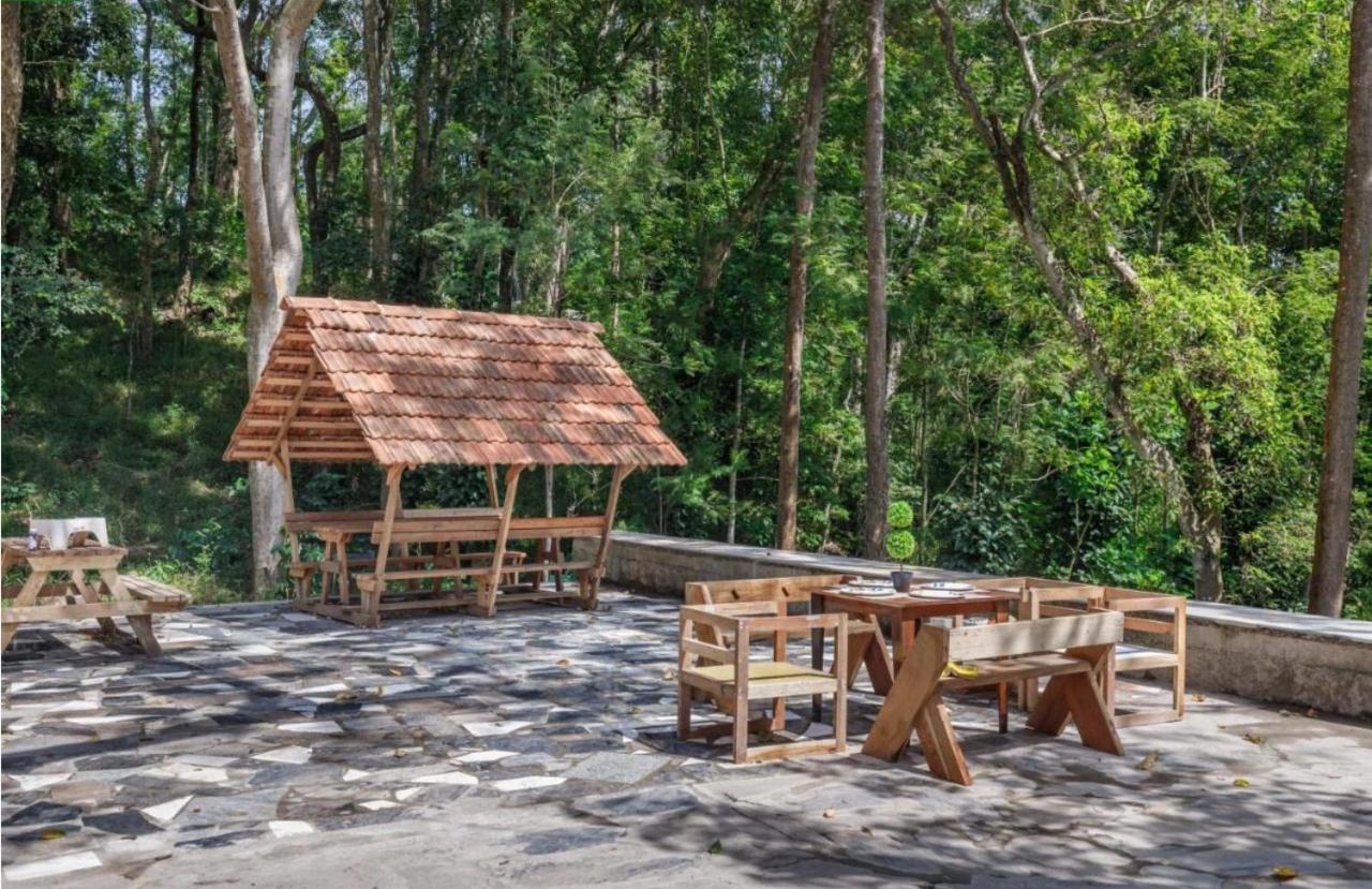 Jungle By Bilwa Estate *